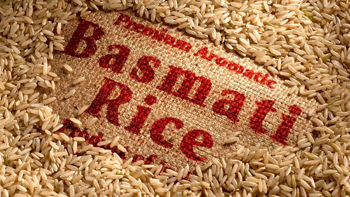 APEDA advisory on basmati export ‘declaration’ worries trade