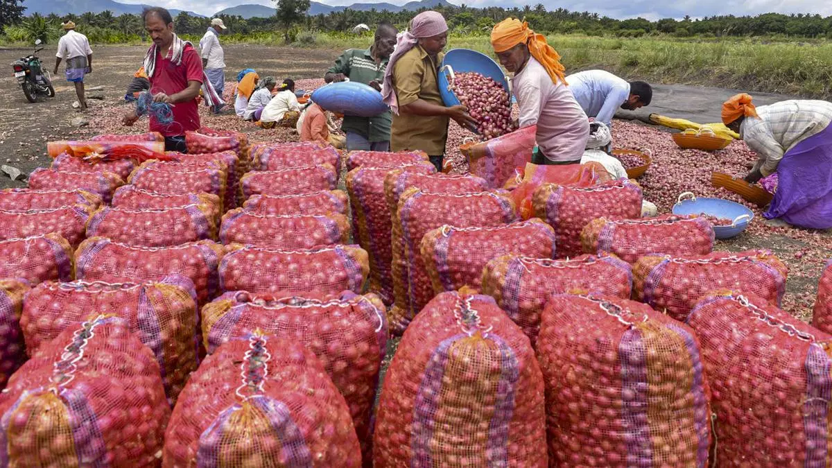 Indian government scraps 0/tonne onion export floor price