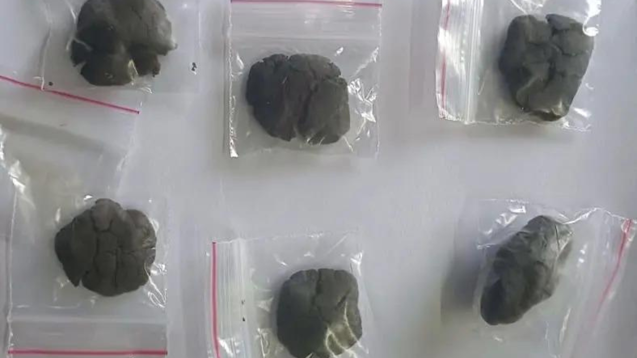 Homemaker, waiter, transporter, Kyrgyz designer part of Delhi hashish racket