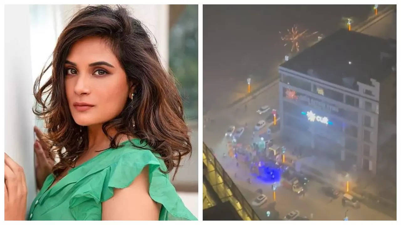 Richa Chadha laments Delhi’s toxic AQI post-Diwali