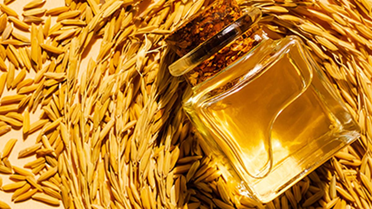 SEA seeks removal of export ban on rice bran, says it can yield economic benefits