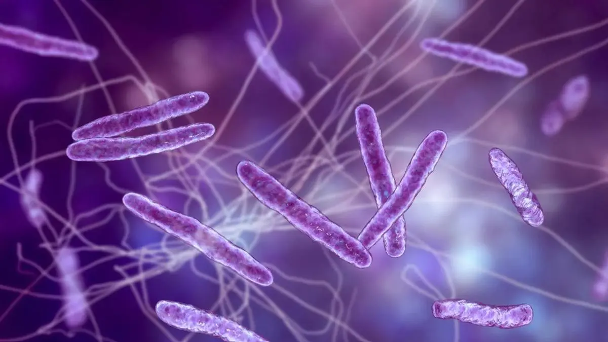 How AI uncovered 3 billion years of bacterial evolution across 1 trillion species