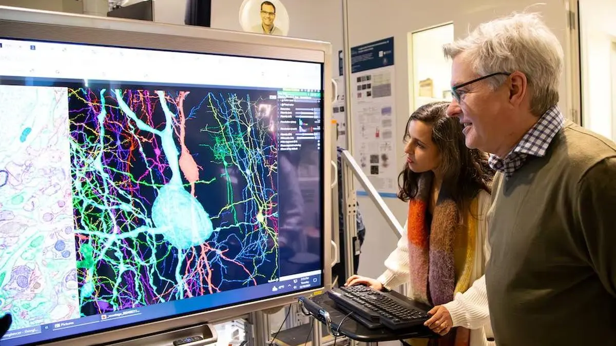 Neuroscientists chart 3.4 miles of brain wiring in visual cortex of mouse