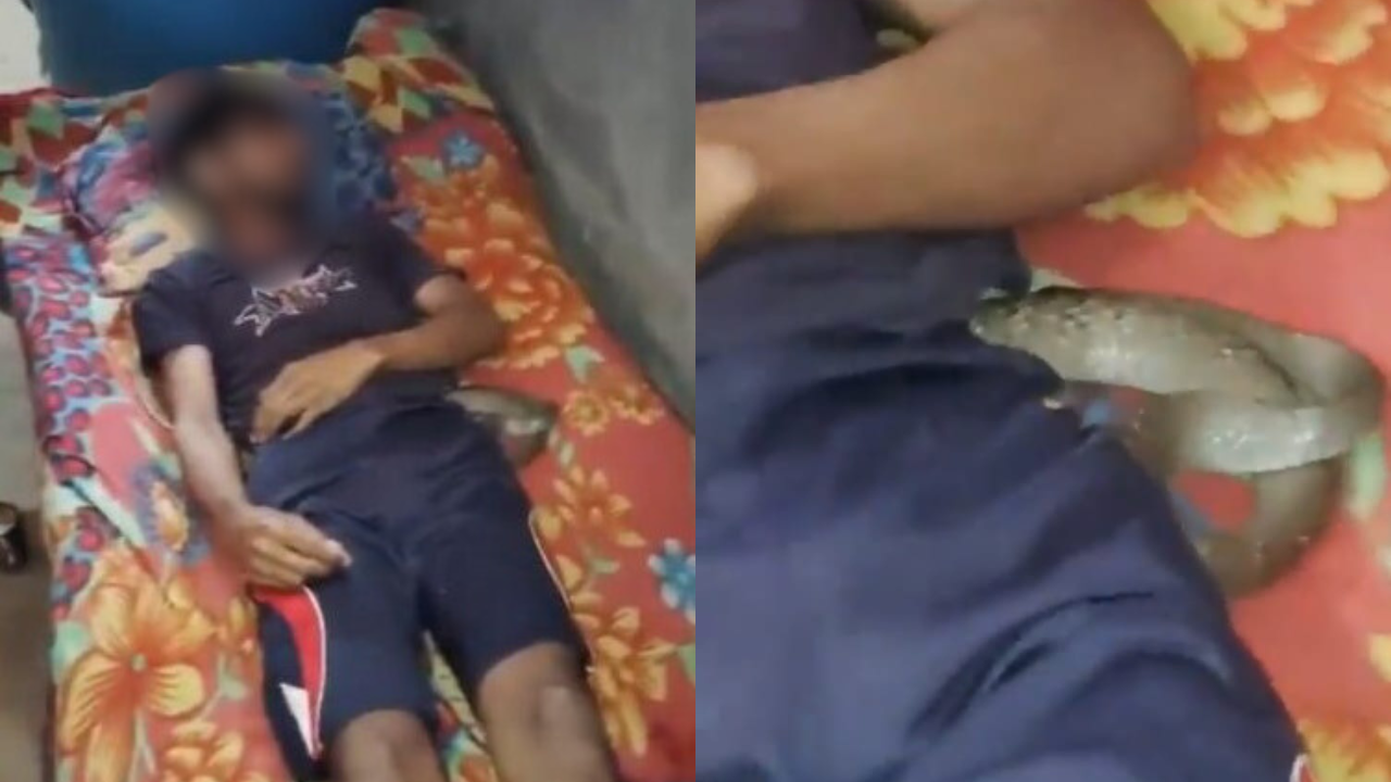 Meerut woman kills husband, tries to pass it off as death by snake bite