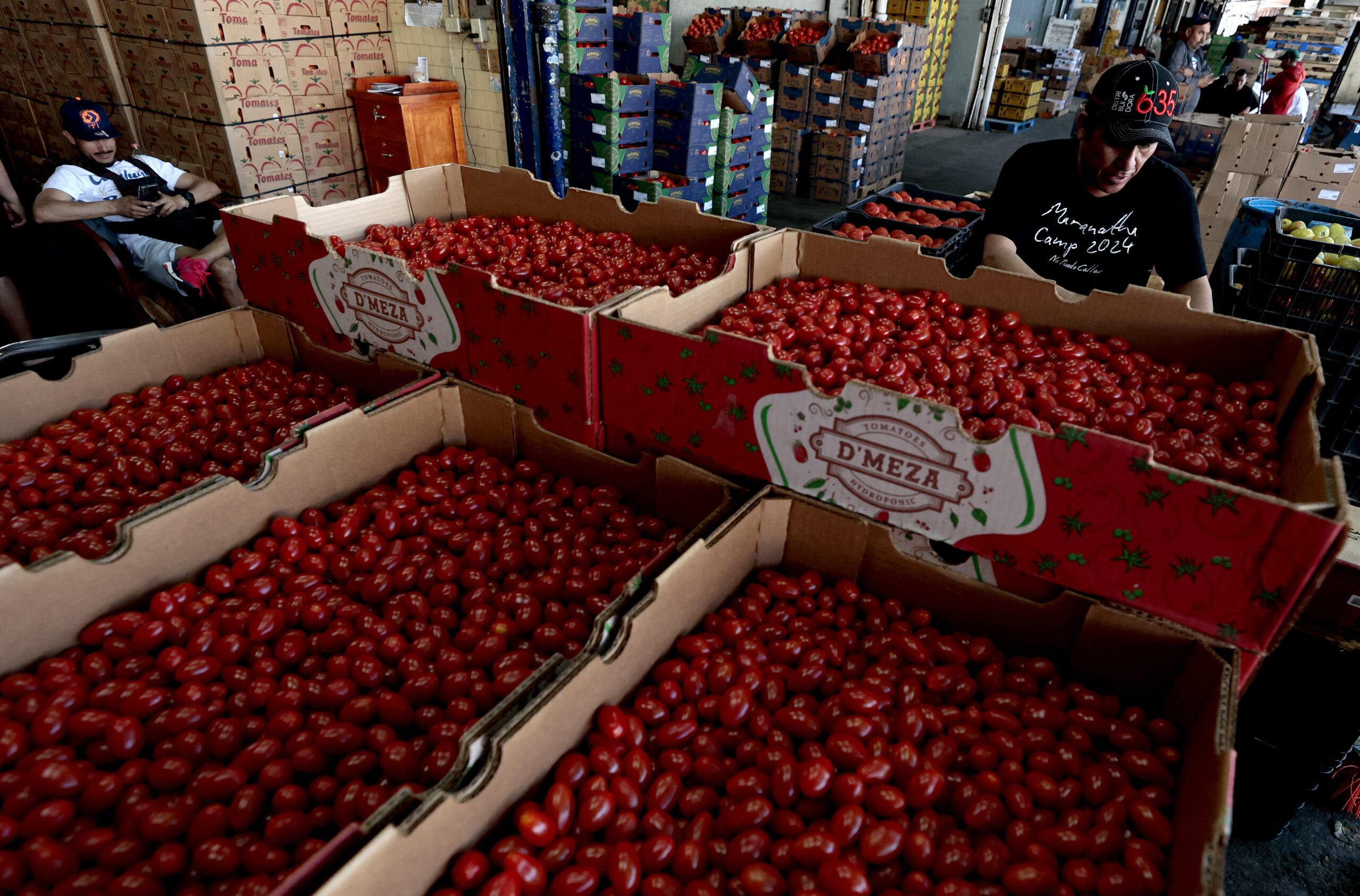 Trump administration to slap Mexican tomatoes with 21% ‘antidumping duty’ during peak season