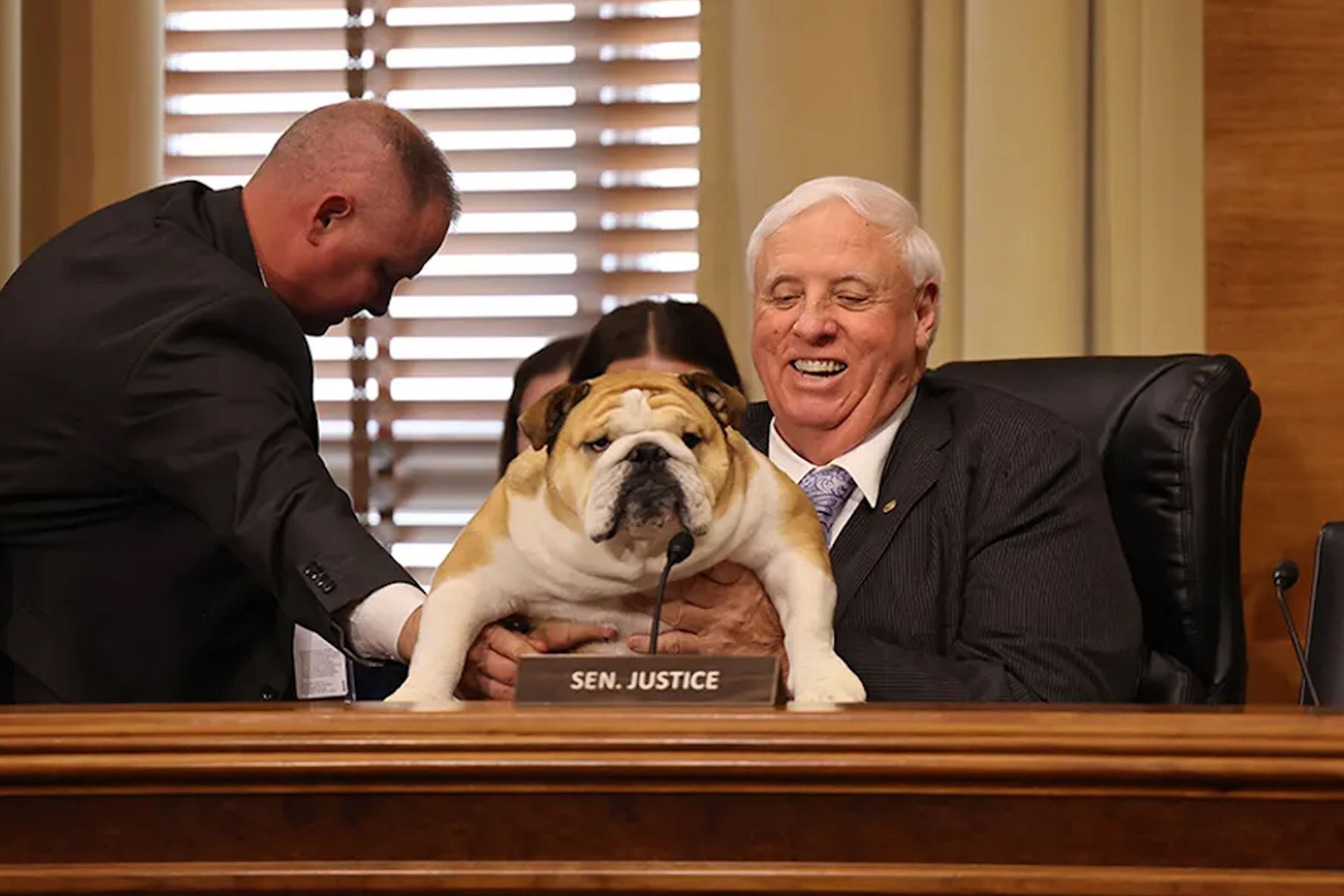 Babydog, Sen. Justice’s adorable plump pooch, has her ‘testimony’ entered into Congressional Record: ‘She humanizes us’